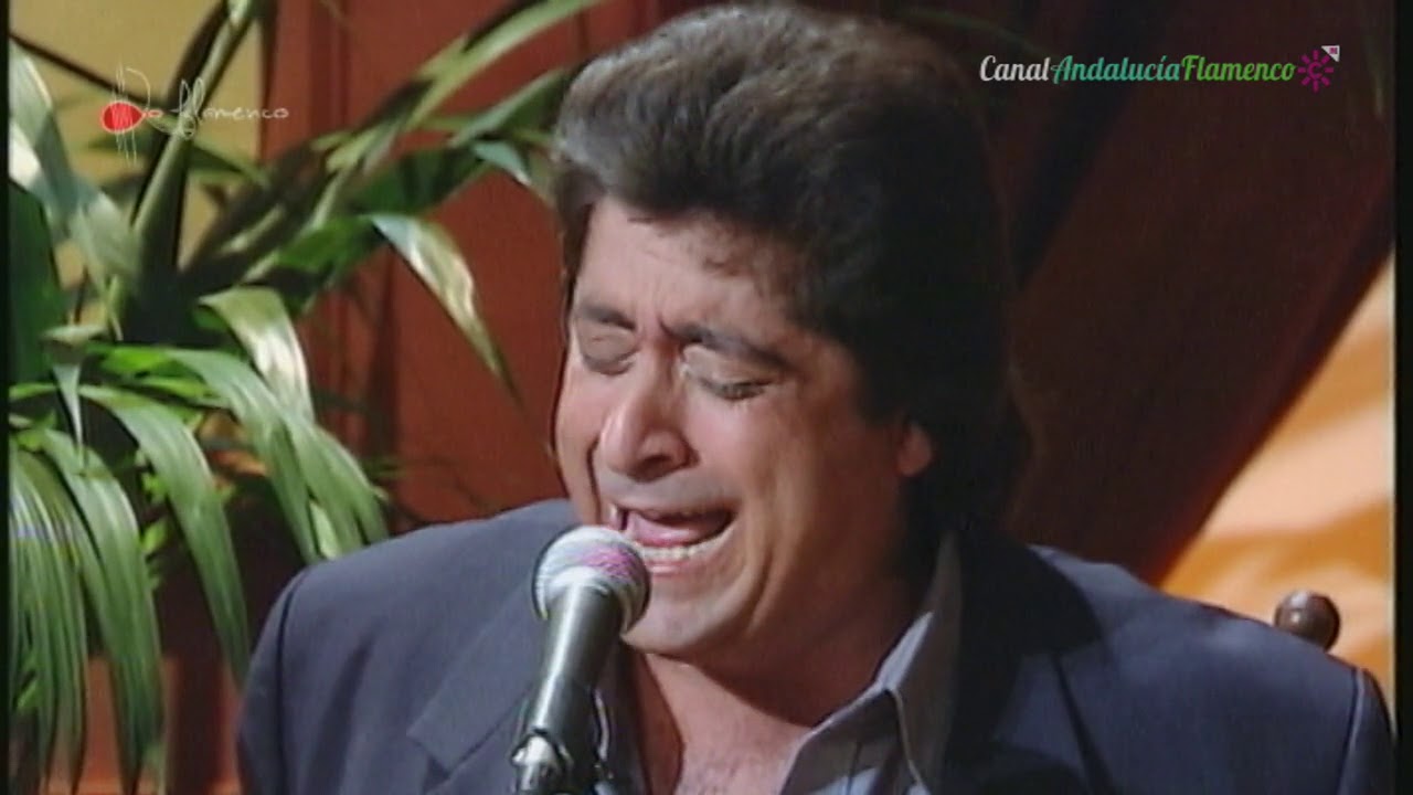 Fandangos. José Manzano. 2000