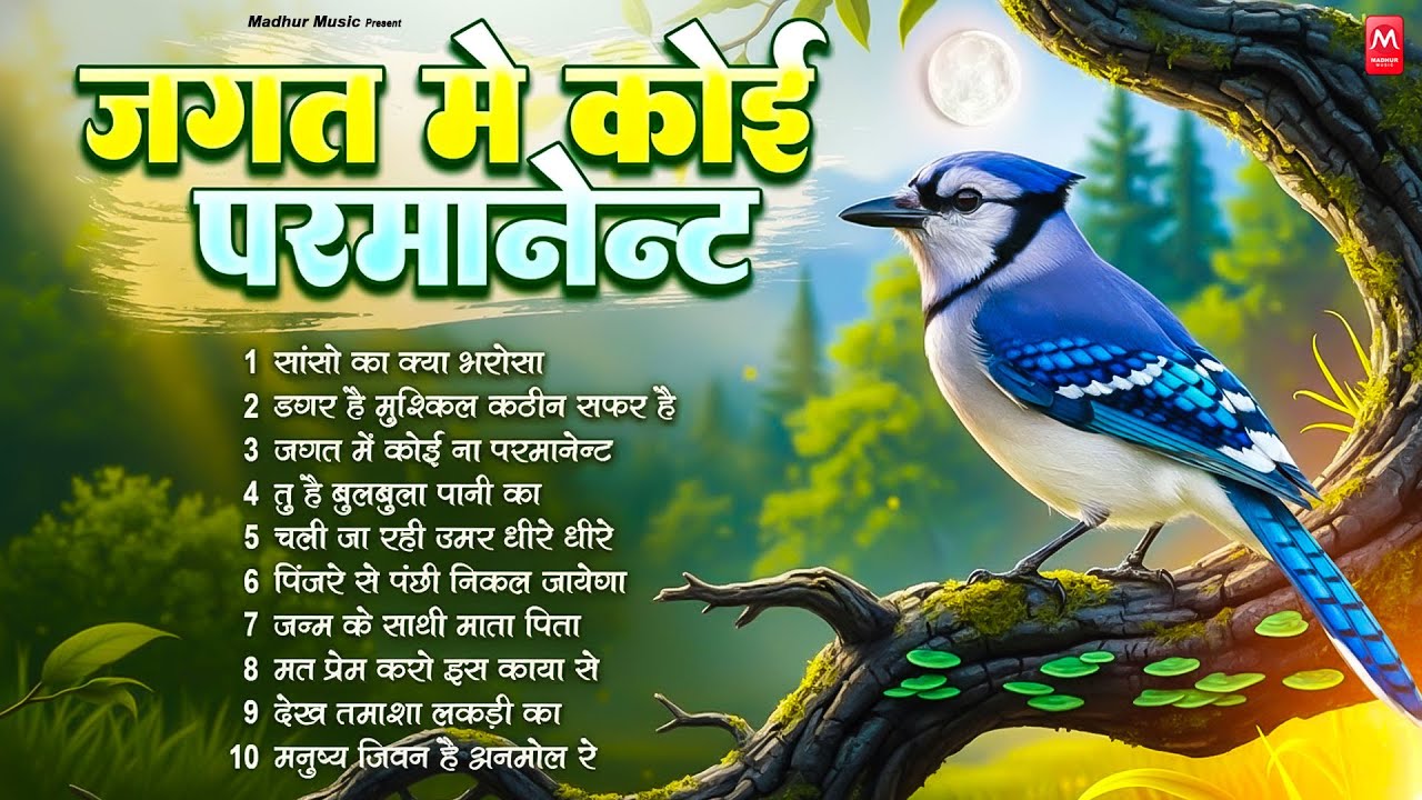 जगत में कोई ना परमानेंट - निर्गुण भजन | Nonstop Nirgun Geet | Chetawani Bhajan 2026 | Nirgun Bhajan