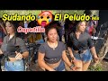 Sudando 🥵 El Peludo Mix  Torneo Canton Copetillo 2023 Rey y su Chanchona Sabor Campirano.