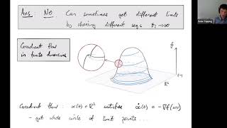 Celebrity Peter Topping - Uniqueness of limits in geometric flows Net Worth