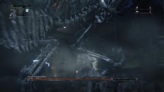 Bloodborne Paarl Sombrebete No Heal