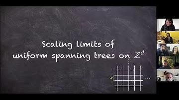 JIPS - Sarai Hernandez-Torres (Technion) / Three-dimensional uniform spanning trees
