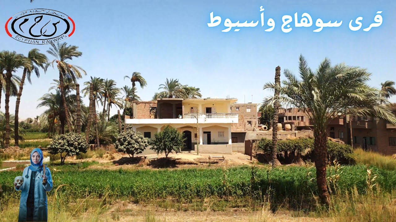 سوهاج، المراغة، طهطا، طما ،أولاد إلياس ، صدفا، النخيلة، أبوتيج ، أسيوط