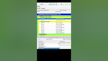 How to add Start and Finish Milestone in Primavera P6