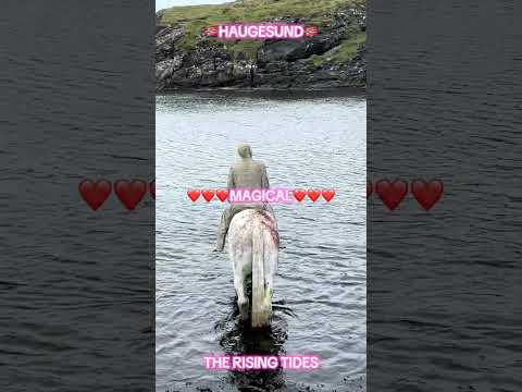 P&O Iona ????????????????NORWAY????????????????HAUGESUND???????????????? THE RISING TIDES ✨????MAGIC
