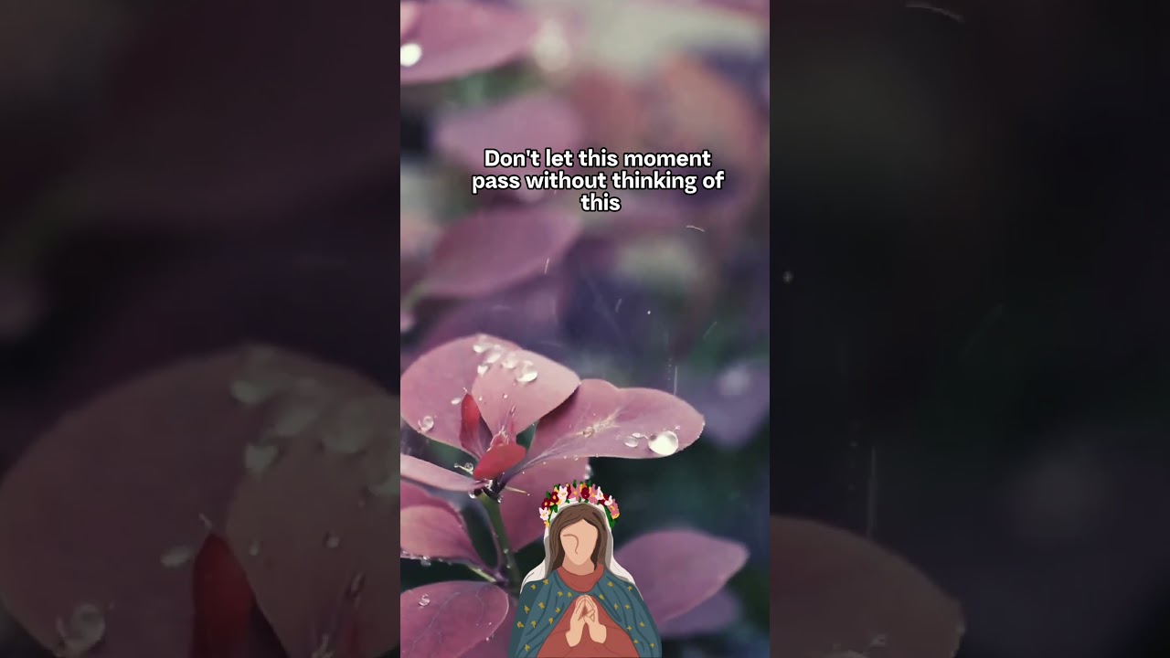 Our Lady’s message of Mercy || January 17 || 