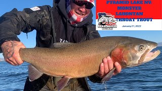Pyramid Lake NV Monster Lahontan Cutthroat Trout