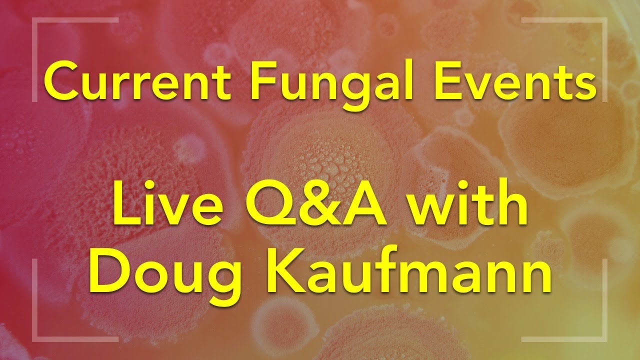 Current Fungal Events Live Q&A with Doug Kaufmann