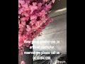 شجر زينه من فلور جروب 01153043288 شجر زينه من فلور جروب 01153043288