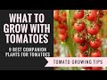 Companion plants for tomatoes | 9 Plants you should grow with tomatoes