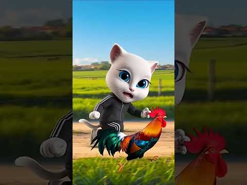 مياو ضي ع الديك شوف النهاية كانت إيه كوتي فوازير كوتي  كوميديات