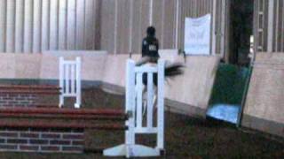 Dede at Boulder Brook Horse Show April 2010 004.avi