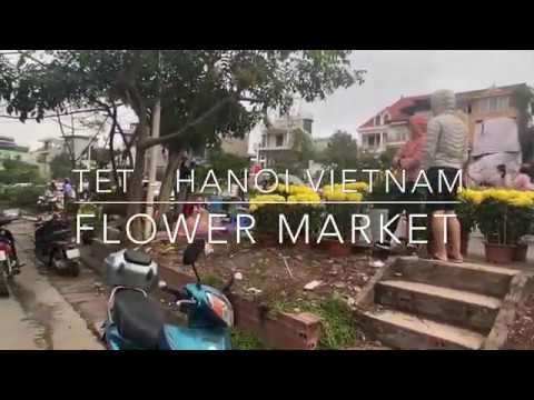 Flower Market During TET (Lunar New Year) - Hanoi Vietnam - An Insiders Guide