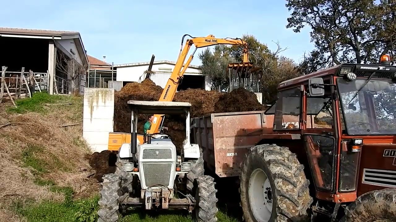 Trasporto letame. Lamborghini R355 + VisanoCar/ Fiat 780DT + Rimorchio Feba. [DI FEBO/D'ORAZIO].