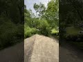 Emergency call#treeclimber #treeremovalservice
