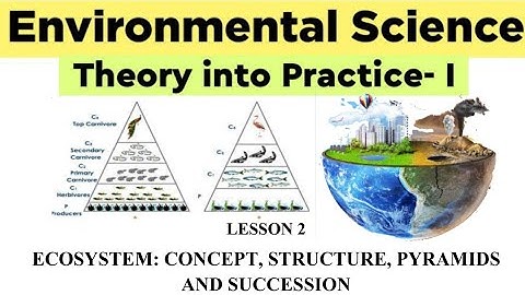 Lesson 2: Ecosystem: Concept, Structure, Pyramids and Succession || ENVIRONMENTAL SCIENCE