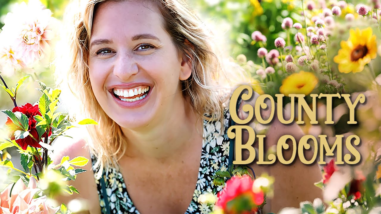 Выращивание георгин 🌸 Цветущий округ | 1 сезон, 1 серия | Мы создаём истории любви 🌸 #садоводство...