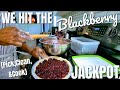 We hit the jackpot  blackberry pick clean  cook