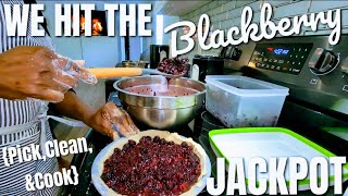 WE HIT THE JACKPOT!!!!!! | BLACKBERRY {PICK, CLEAN, & COOK}