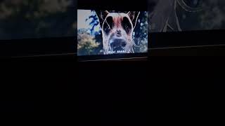 Free Animals Trailer