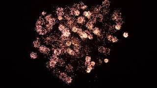 CGF-1332 2013