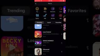 How to ADD MUSIC in ZYNN? screenshot 5