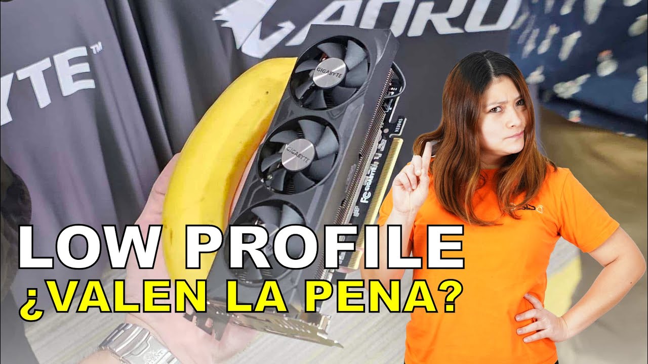 ¿Valen la pena las tarjetas gráficas Low Profile?🤔 ¡Analizamos las mejores opciones del mercado!✅