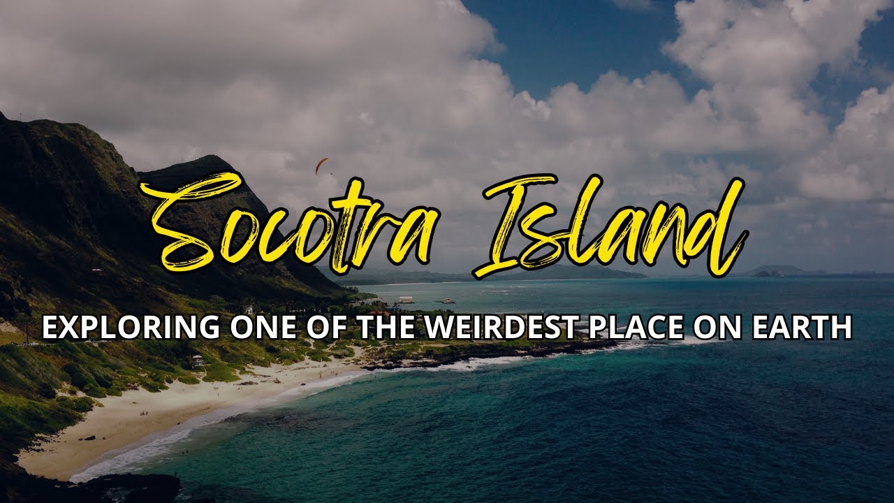 Journey to Socotra Island: Explore the bizarre flora and fauna of Yemen's secret paradise