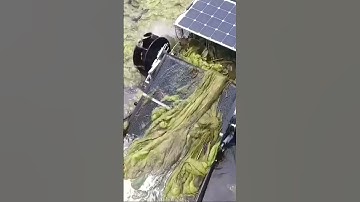 This Eco-friendly Solar-Powered Robot can be used to clean ponds