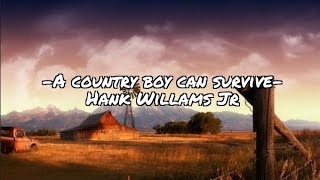 A country boy can survive- Hank Williams Jr.
