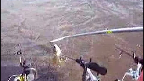 Trolling for Crappie 3