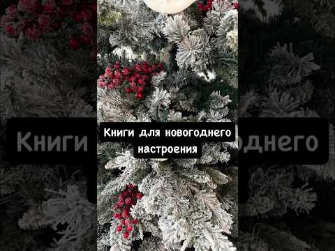 Книги для новогоднего настроения 🎞️