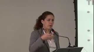 Brazilian Growth Prospects in the Global Context, Part IV of V