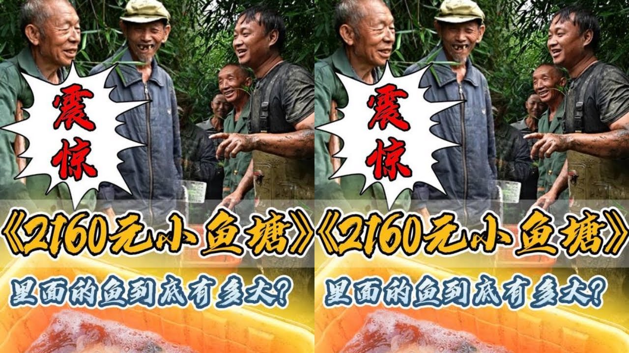 花2160元包下叔叔在深山里面的小鱼塘，里面到底有多少鱼？#户外抓鱼 #户外捕鱼 #大表哥抓鱼 #乡村生活 #农村生活