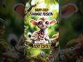 Too Cute Animal Fusion vol. 1  #animalfusion #animalhybrid #cuteanimalfusions #babyanimalfusions