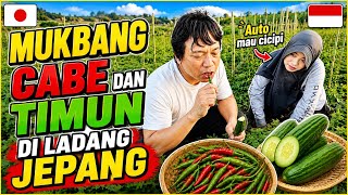 PANEN SAYUR DAN MUKBANG DI LADANG JEPANG
