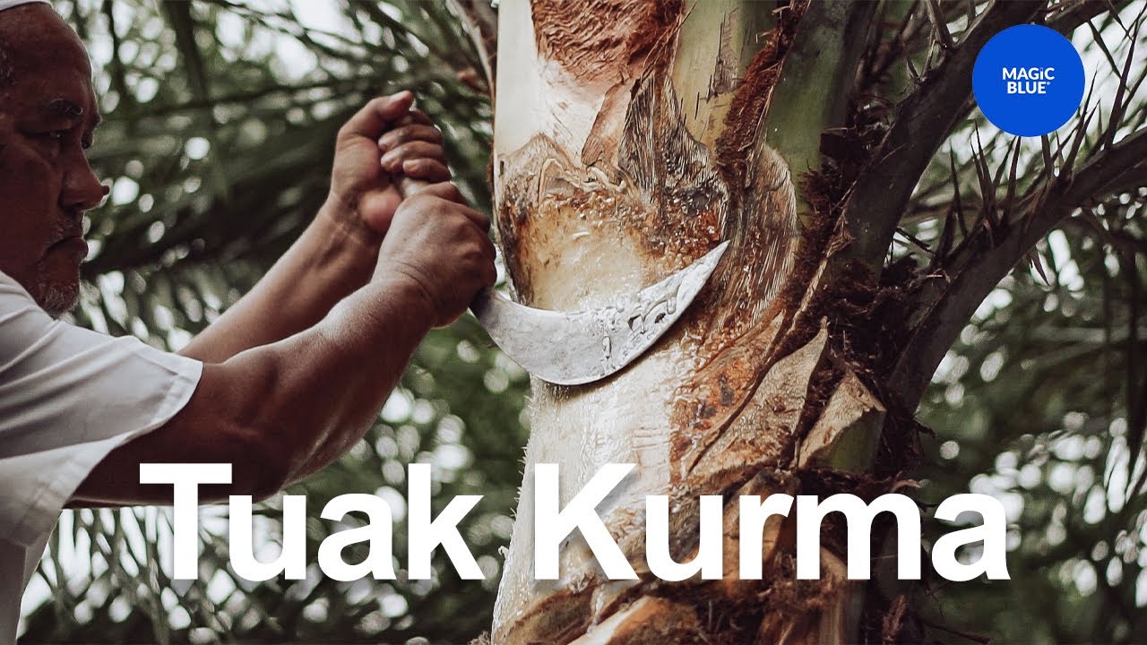 Tuak Kurma Pertama di Malaysia?