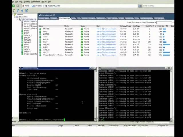 EMC Vplex demo with virtualized SAP