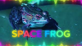 Space Frog – Cosmic Hardcore Dream Dance [Official Audio] 🚀🐸