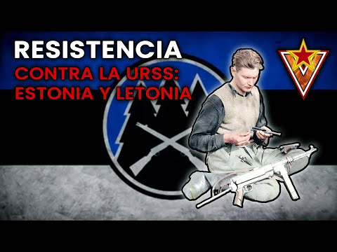 Video: 1942 año. Respuesta alemana al T-34 y KV