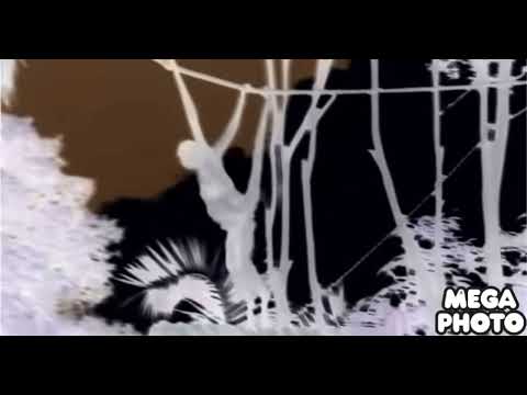 Wotwots theme song in g major