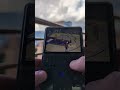 NBA Live 2001 on R36S Handheld Console?!