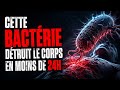 🦠 La Bactérie Mangeuse de Chair : Elle Détruit un Corps Humain en Moins de 24 Heures