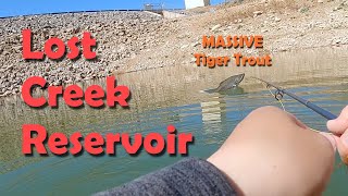 Getting Taunted by a MASSIVE Tiger Trout - Lost Creek Reservoir
