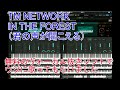 TM NETWORK   In The Forest(君の声が聞こえる)ウツ入りVer