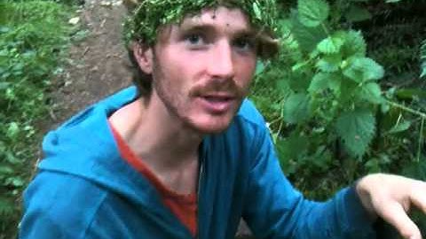 Listen/glow in the Nettles