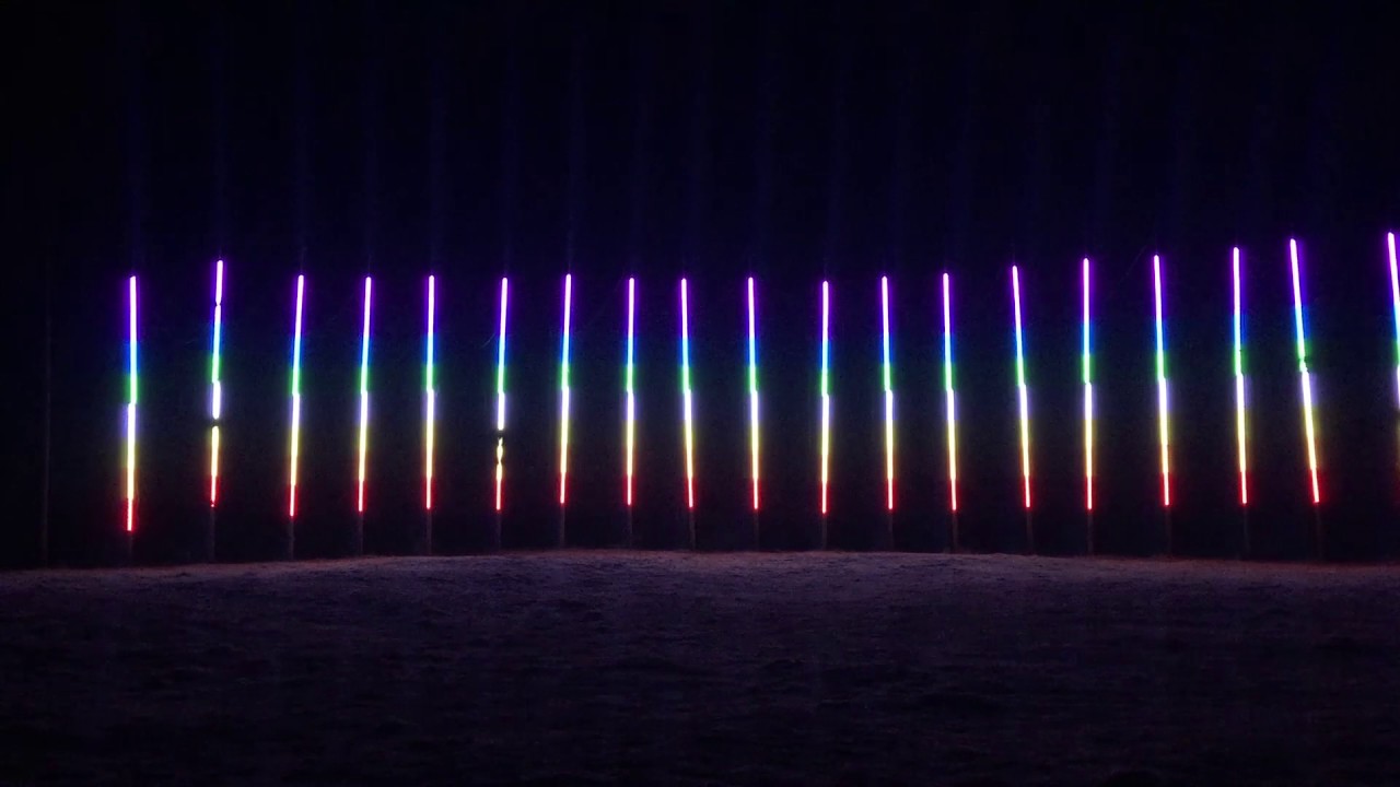 "Wild Signals" Performed on A.D.A.M.