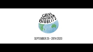 Using iNaturalist for the Great Southern BioBlitz #2 3/09/2020