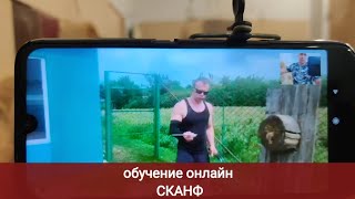 Обучение онлайн. СКАНФ