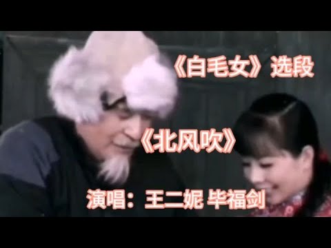 王二妮_毕福剑演唱《白毛女》选段《北风吹》惊艳全场，掌声不断【品味经典每日一歌】